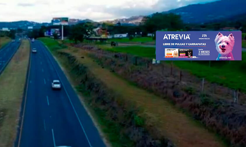 Publicidad Roman